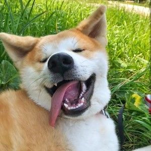 Meet your Posher, Chonghuongduon3